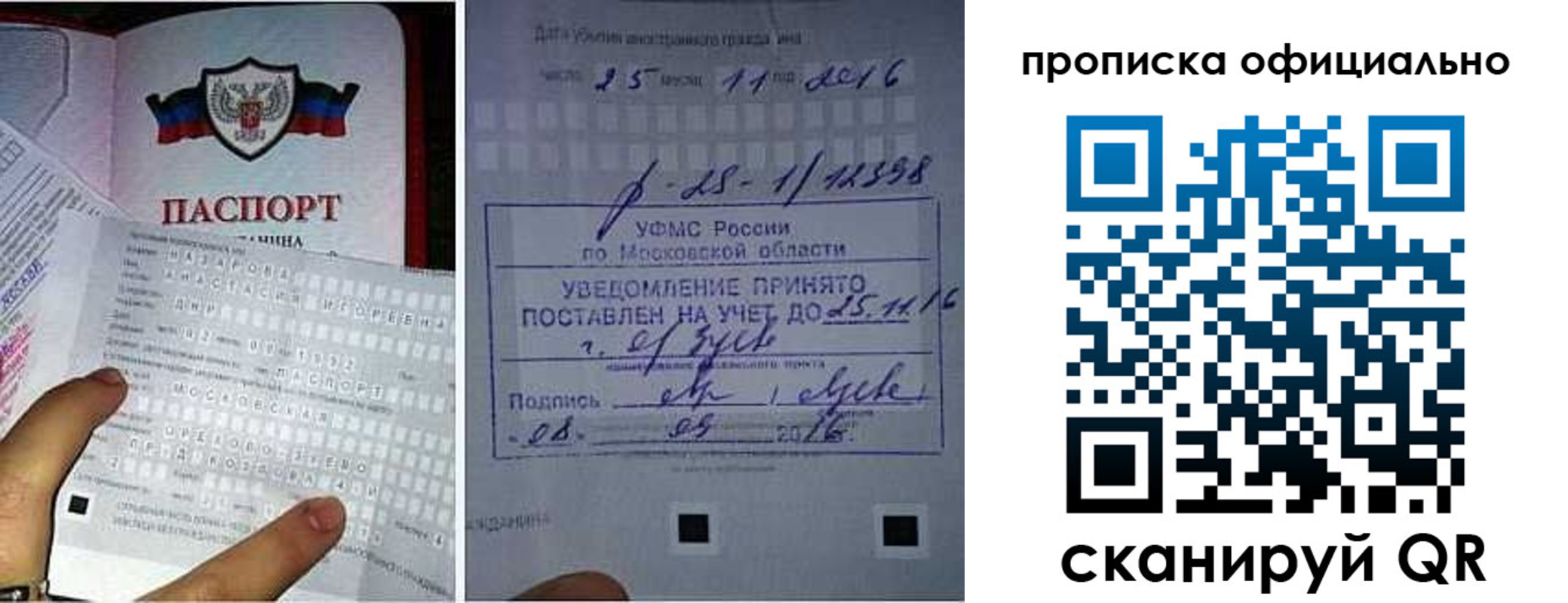 прописка паспорт в Острогожске
